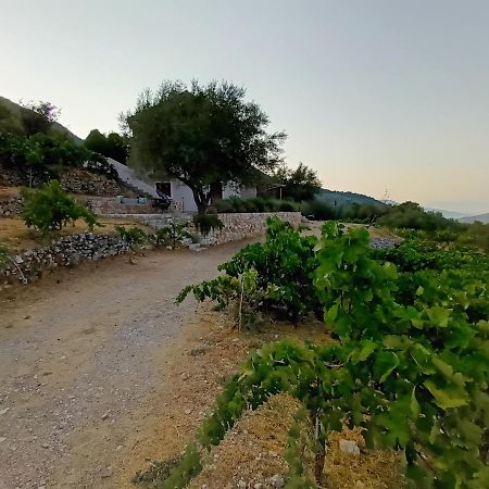 Villa Οίνου Γη Ιθάκη - Winelandithaca à Perachori Extérieur photo