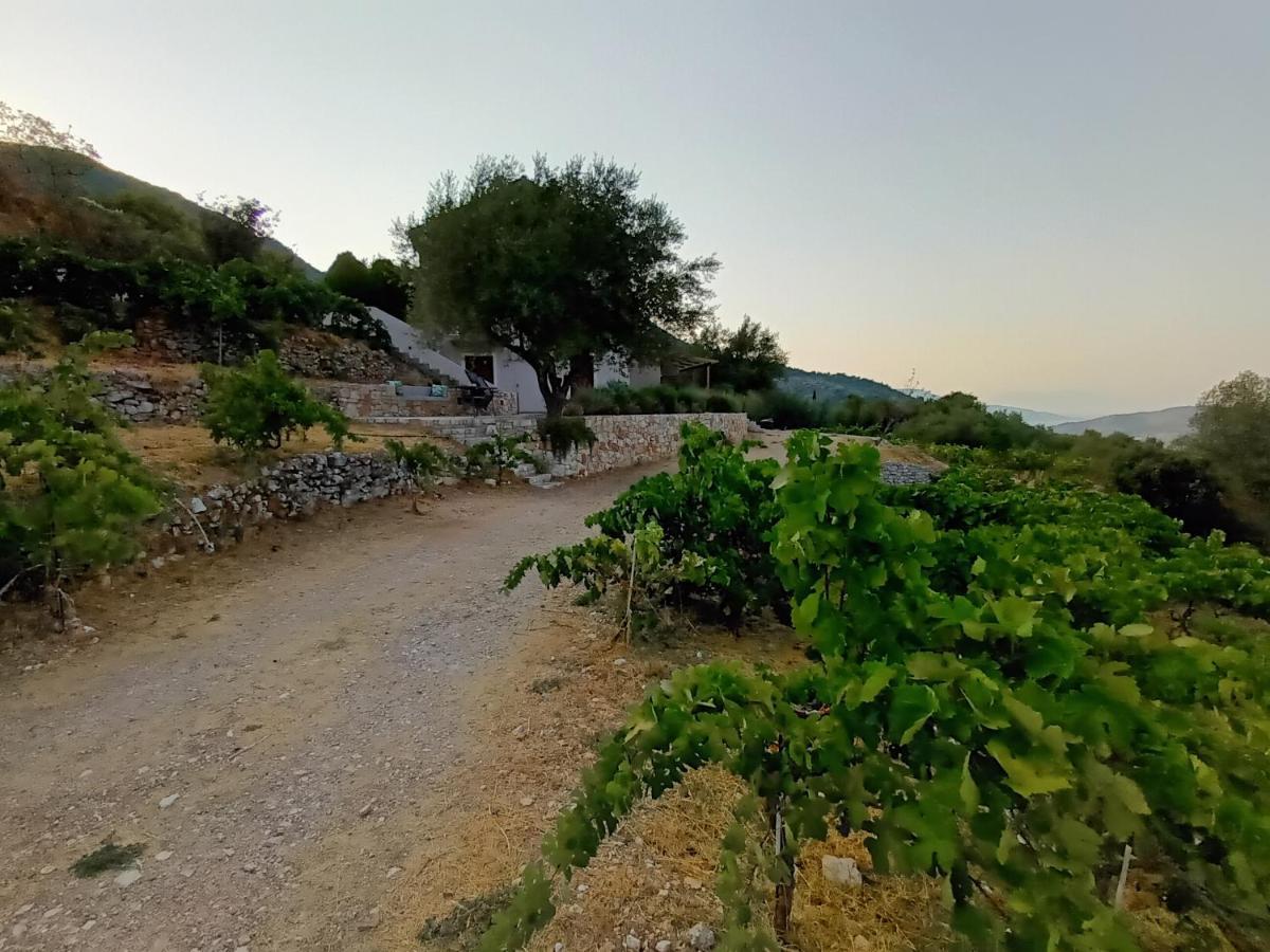 Villa Οίνου Γη Ιθάκη - Winelandithaca à Perachori Extérieur photo