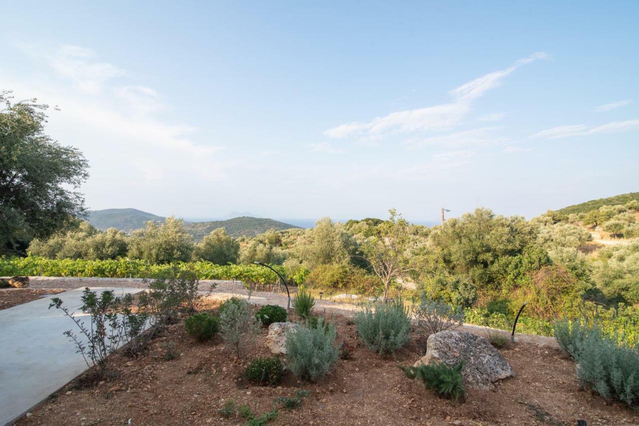 Villa Οίνου Γη Ιθάκη - Winelandithaca à Perachori Extérieur photo