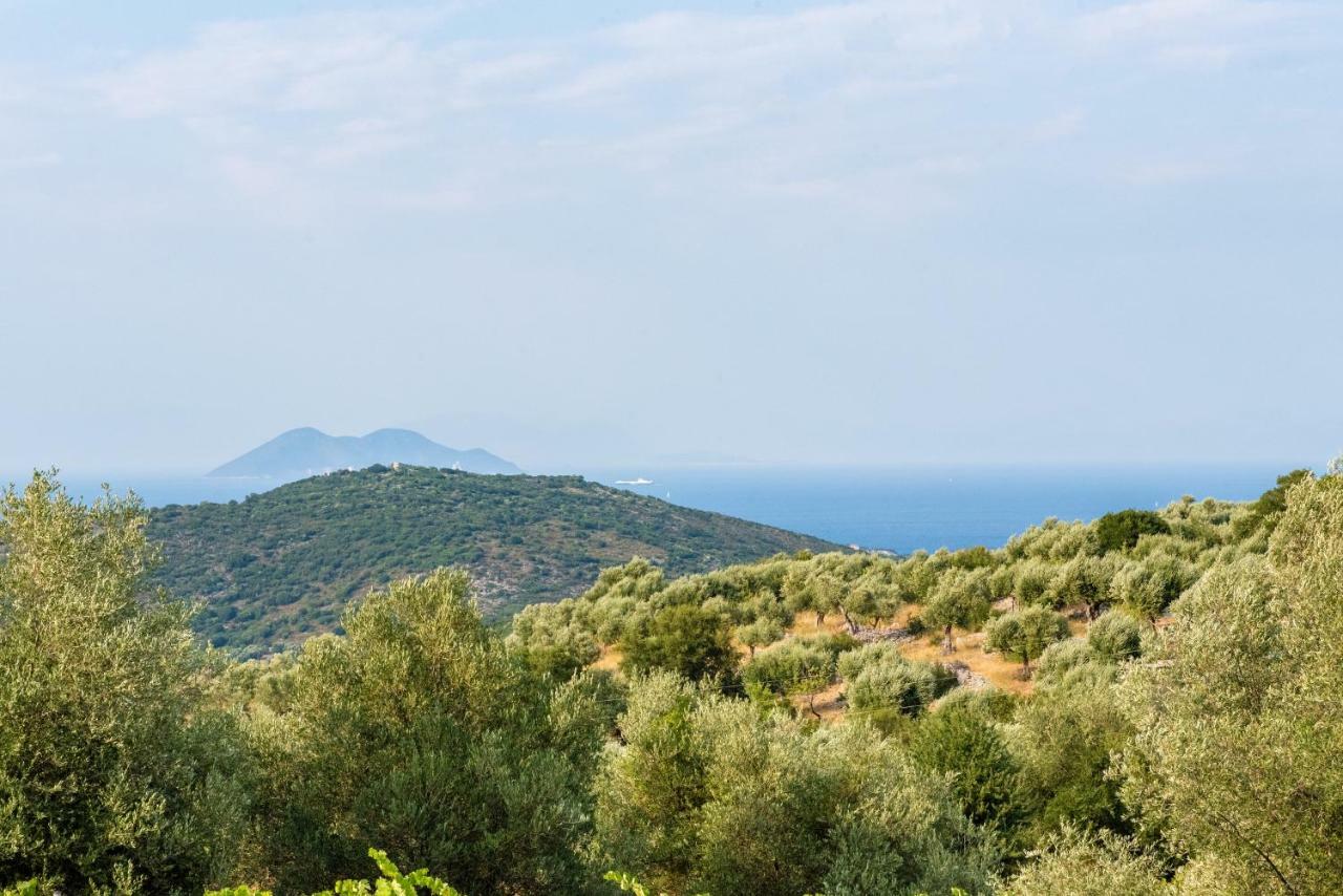 Villa Οίνου Γη Ιθάκη - Winelandithaca à Perachori Extérieur photo