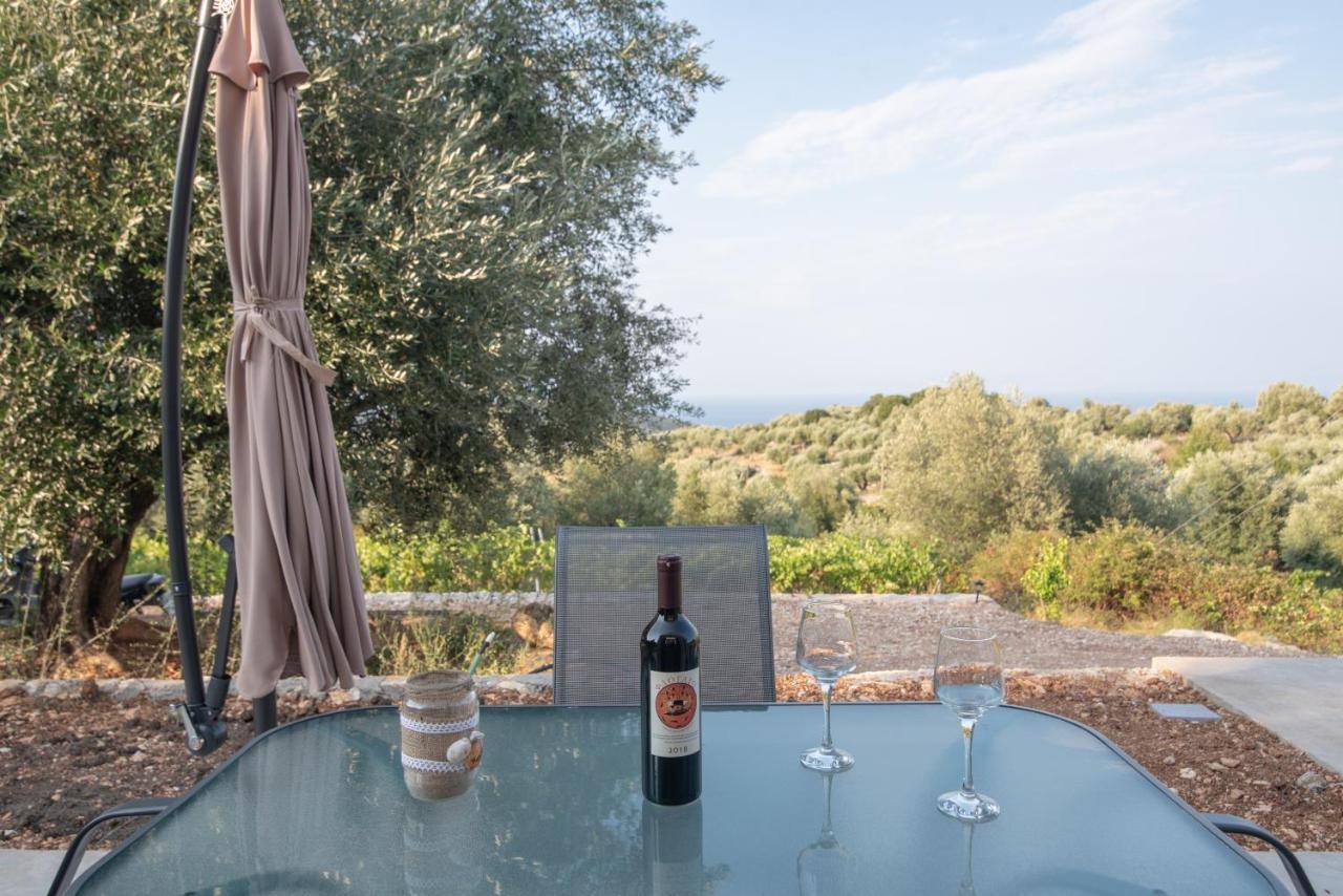 Villa Οίνου Γη Ιθάκη - Winelandithaca à Perachori Extérieur photo