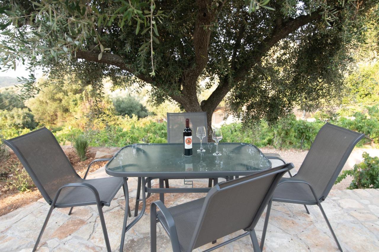 Villa Οίνου Γη Ιθάκη - Winelandithaca à Perachori Extérieur photo